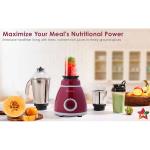 Wonderchef Acura Plus Mixer Grinder 750W | 4 Jar