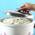 Wonderchef Nutri Cook Rice Cooker