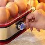 Wonderchef Crimson Egg Boiler 400W