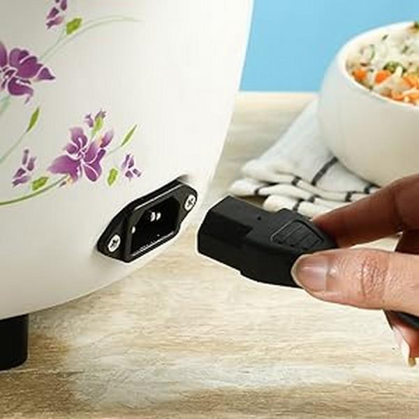 Wonderchef Nutri Cook Rice Cooker