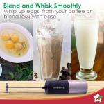 Wonderchef Regalia Milk Frother