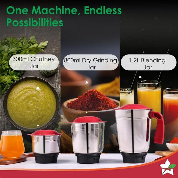 Wonderchef Robo Mixer Grinder 500W | 3 Jar
