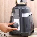 Wonderchef Regalia Mixer Grinder 750W | 3 Jar